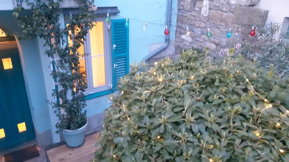 Appartement Little Garden à Piran Extérieur photo