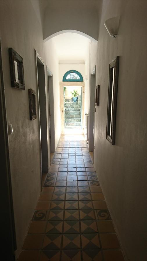 Appartement Little Garden à Piran Extérieur photo